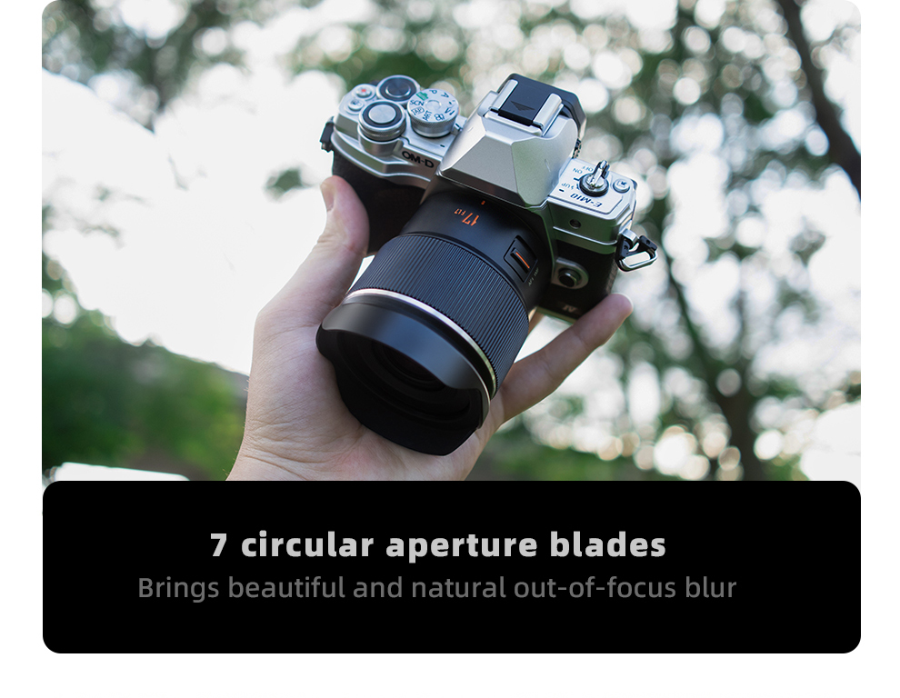 7 aperture blades